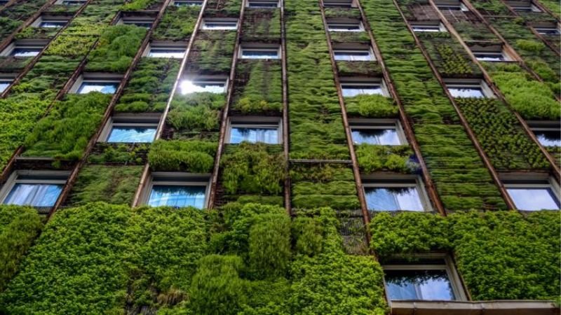 10 Green Building Construction Methods And Techniques